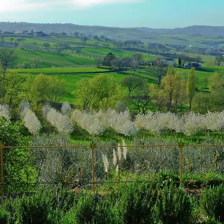 Poggio Neriolo Holiday home