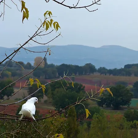 Poggio Neriolo Holiday home